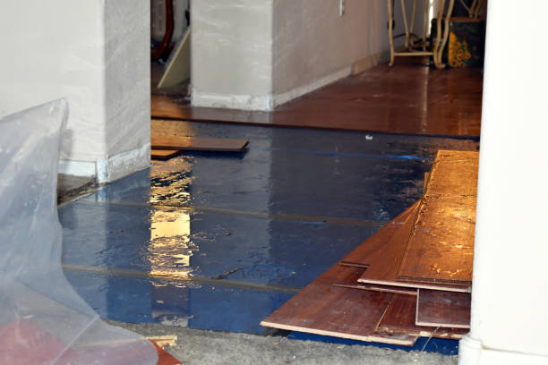 Professional Basement Flood Cleanup technician working in Waldorf, MD